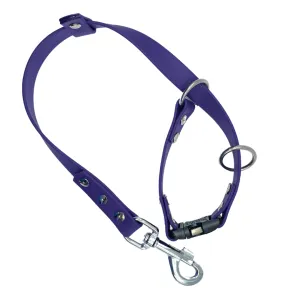 Biothane Grooming Slip Loop with Quick Release Buckle 3/4"