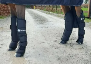 Bucas 2020 Boots