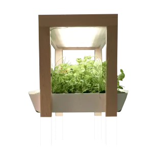 Family Garden Extension