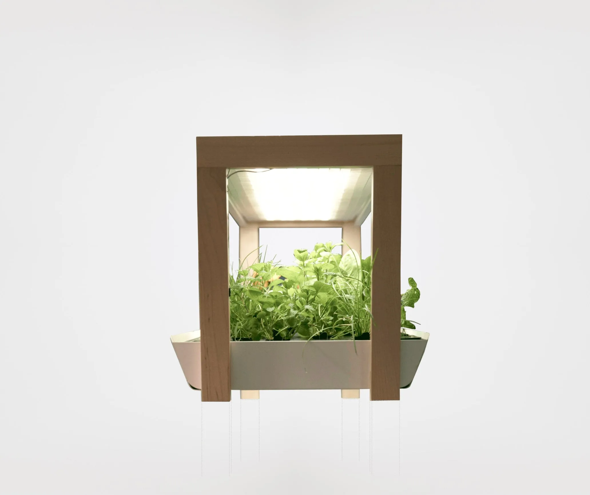 Family Garden Extension