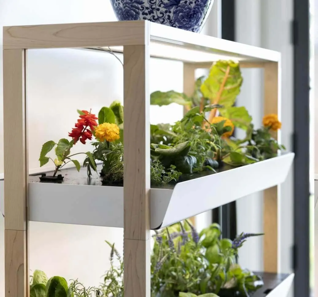 Family Garden Extension