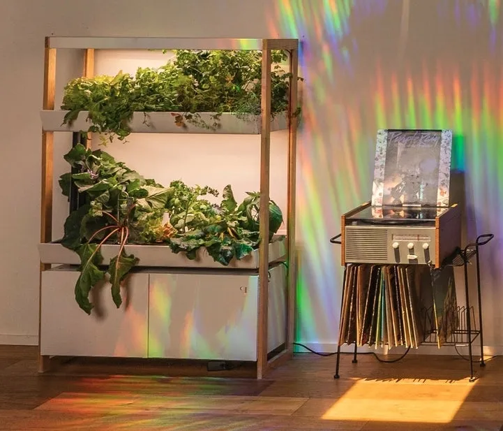 Family Garden Extension