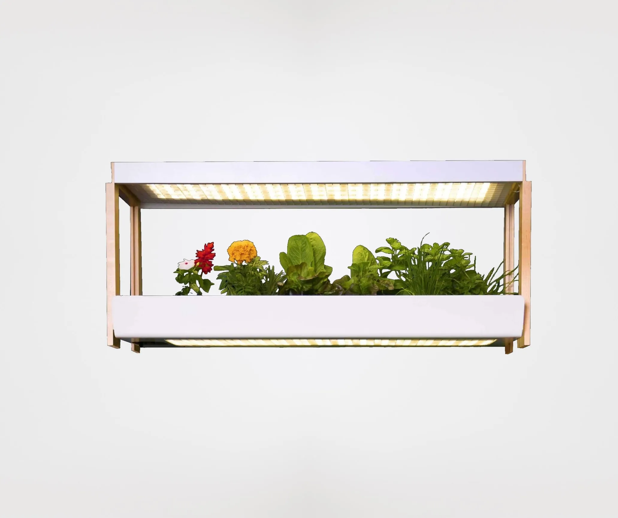 Family Garden Extension