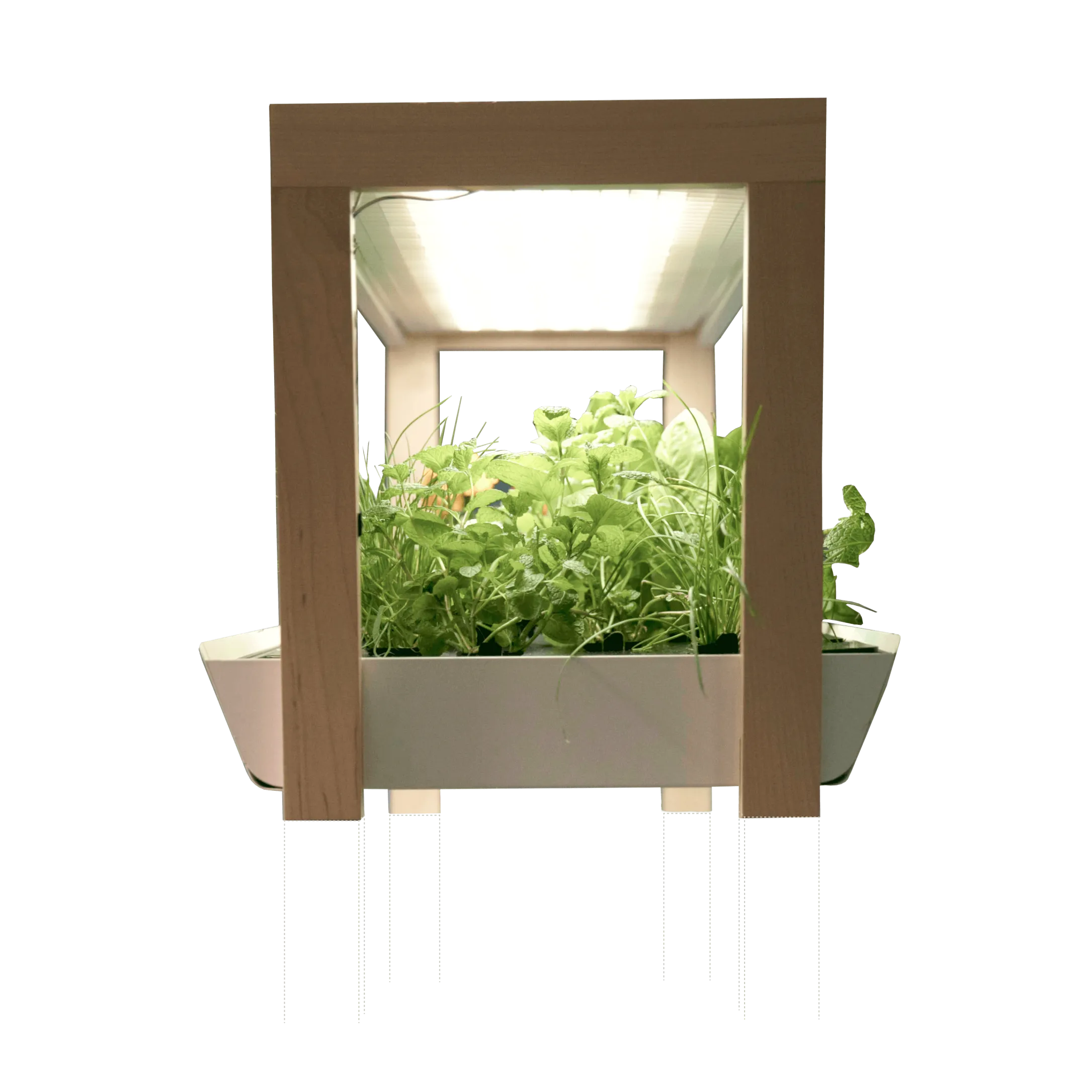 Family Garden Extension