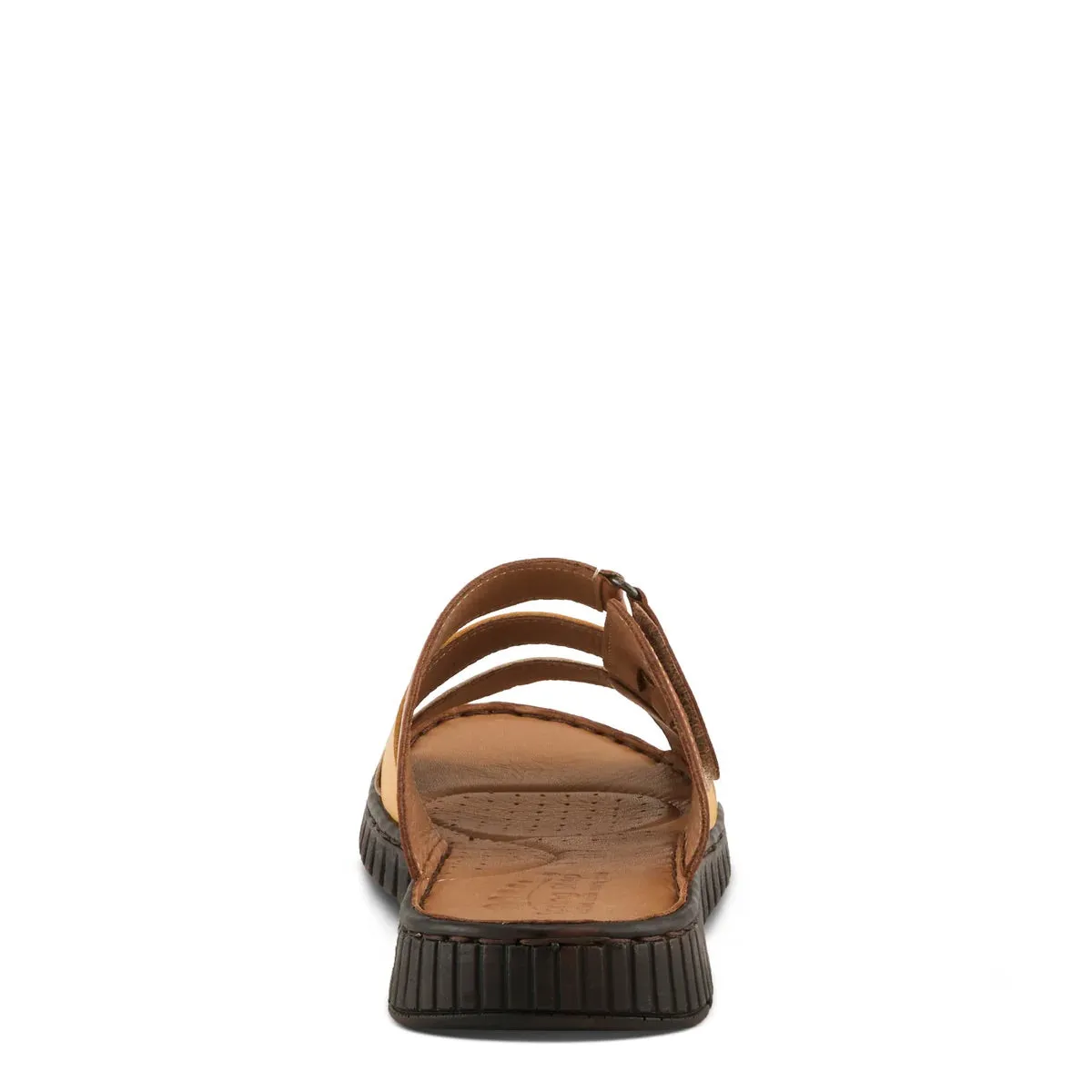 Olly - Camel Multi