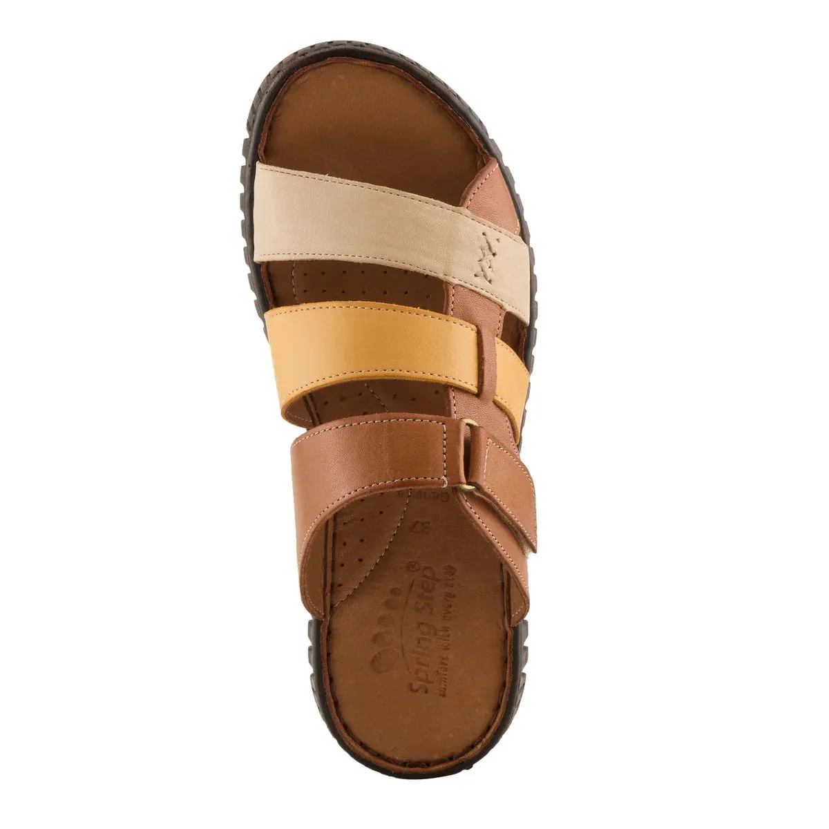 Olly - Camel Multi