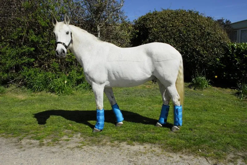 Rhinegold Elite Half Travel Boots