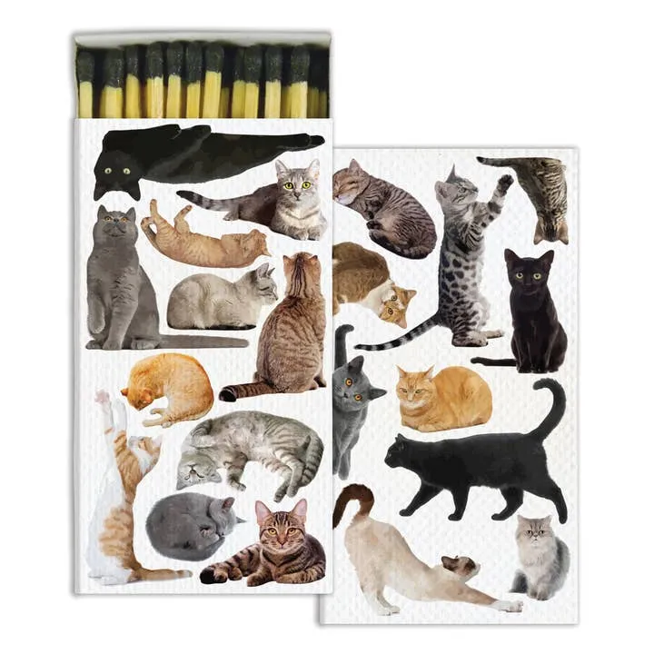 Stylish Matches
