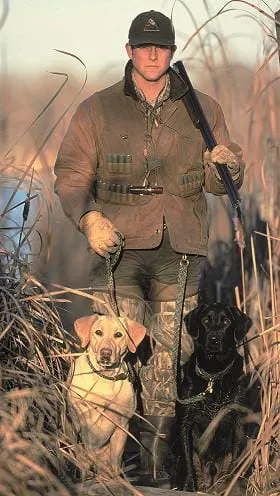 The Quick Dog Lead - hands-free lead
